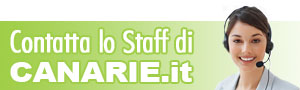 Contatta lo staff di Canarie.it